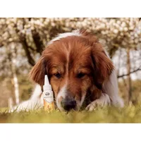 Bellfor Ohrenreiniger Anti-Ohrenmilben – Tropfen 50 ml - Packungsgrösse: 50 ml - Produkttyp: Ohrenreiniger - Tierart: Hund