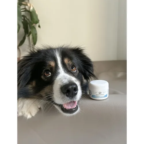 Bellfor Analdrüsen – Salbe 30 ml - Produkttyp: Salbe - Tierart: Hund