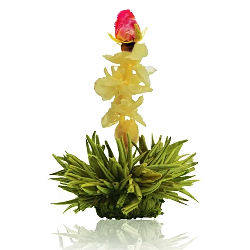 Creano Erblühtee grüner Tee fruity flavor 6er Magnetbox - Teesorte/Infusion: Grüntee - Zertifikate: Keine Zertifizierung - Packungsgrösse: 6 Stück - Fairtrade: Nein - Teeform: Erblühtee - Bio: Nein