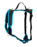 Grossenbacher Vary XXXS Noir, Turquoise Chien Harnais de traction