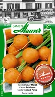 Samen Mauser Samen Urban Gardening Alte Sorte Karotte Pariser Markt - Aussaatzeit: April - Juli - Juni - Mai - März - Sonneneinstrahlung: Sonnig - halbschattig - Saattyp: Alte Sorte - Urban Gardening - Gemüsegruppen: Knollen- und Wurzelgemüse - Erntezeit: