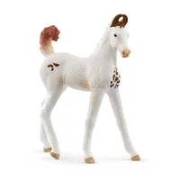 Schleich Spielzeugfigur Horse Club Marwari Fohlen - Themenbereich: Horse Club - Altersempfehlung ab: 5 Jahren