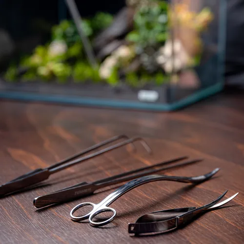 Dennerle Plant Tweezer Straight, 30 cm