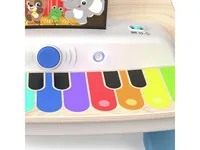Hape E12422C learning toy