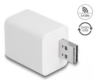 DELOCK WLAN EASY-USB Smart Life Schalter