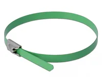 Delock Edelstahlkabelbinder L 200 x B 4,6 mm grün 10 Stück