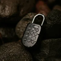 igloohome Sicherheitsschloss Padlock 2, Schwarz, Edelstahl - Schlossart: Bügelschloss - Set: Nein - Aussenanwendung: Ja