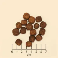 Wolfsblut Trockenfutter Dog Dark Forest Adult, 2 kg - Tierbedürfnis: Kein besonderes Bedürfnis - Geschmacksrichtung: Wild - Zertifikate: Keine Zertifizierung - Fleischsorte: Wild - Packungsgrösse: 2 kg - Futtereigenschaft: Getreidefrei - Ohne künstliche Z