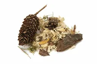 Beeztees Nagerstreu Forest - Nagetierart: alle Kleinnagetiere - Tierart: Nager
