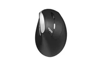 RAPOO EV250 Vertical Mouse 13531 2,4 GHz, wireless