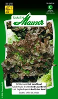 Samen Mauser Samen Eichblattsalat Red Salad Bowl - Bio: Nein - Sonneneinstrahlung: Sonnig - halbschattig - Aussaatzeit: April - März - Mai - Juli - Juni - August - Gemüsegruppen: Salat - Saattyp: Saatgut - Erntezeit: September - Juni - Mai - August - Juli