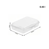 Rotho Funbox Lunch container 0.45 L Transparent 1 pc(s)