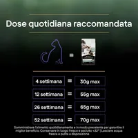Purina Pro Plan Trockenfutter Live Clear Kitten Reich Truthahn 1.4 kg - Tierbedürfnis: Gewichtskontrolle - Lebensphase: Kitten (0-12 Monate) - Produkttyp: Alleinfutter - Packungsgrösse: 1.4 kg - Fleischsorte: Truthahn - Tierart: Katze