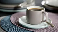Ritzenhoff & Breker 403053 tableware set 12 Stück(e) Steingut Graubraun