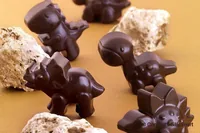 Silikomart Scg16 Dino candy/chocolate mould Silicone Brown