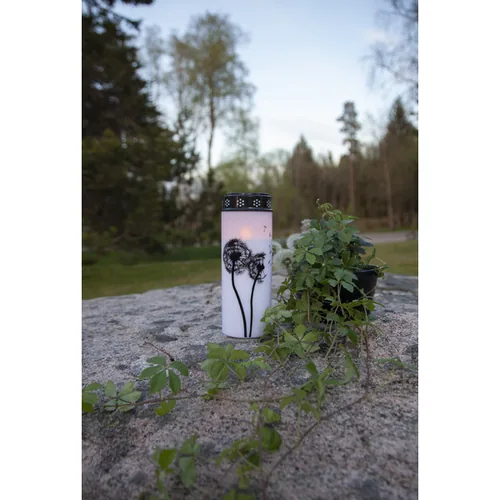 Star Trading LED Grabkerze Löwenzahn, Ø 7 x 21 cm, Weiss - Betriebsart: Akkubetrieb - Batteriebetrieb - Aussenanwendung: Ja - Höhe: 21 cm - Timerfunktion: Ja - Set: Nein - Farbe: Weiss