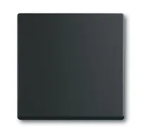 Busch-Jaeger 1751-0-3041 light switch Plastic Black
