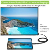Techly USB Typ C ST auf HDMI 2.0 4K, 2m, schwarz