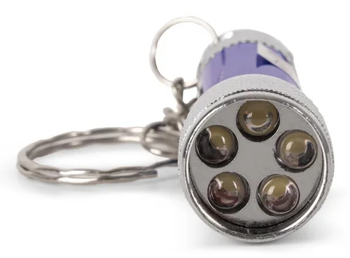 Entac Taschenlampe 5LED Schlüsselanhänger Blau