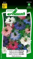 Samen Mauser 20401204 flower seeds/bulbs Nigella