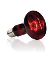 Exo Terra Terrarienlampe Infrared Basking Spot E27, R25/100W - Lampensockel: E27 - Lichtfarbe: Rot - Gesamtleistung: 100 W - Lampentyp: Intrarotlampe - Wärmelampe - Benötigt Vorschaltgerät: Nein - UV-Strahlung: Keine