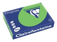 Clairefontaine Kopierpapier Trophée Colored Copy FSC A4, Grün, 160 g/m² - Geeignet für Drucker: Universal - Grammatur: 160 g/m² - Papiertyp: Kopierpapier - Materialeigenschaften: FSC®-zertifiziert - Verpackungseinheit: 250 Stück - Papierformat: A4
