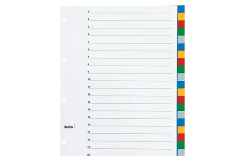 BIELLA Register PP A4+ 47902000U farbig 20-teilig