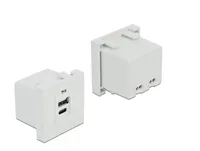 DELOCK Easy 45 USB Ladeportmodul 1 x USB-A 1 x USB-C