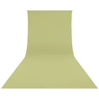 Westcott Hintergrund Faltenresistent 270 x 610 cm Light Moss Green - 