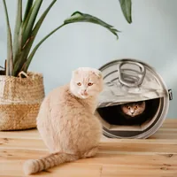 District 70 Kratzmöbel Can, Braun - Höhe: 38 cm - Anzahl Liegeplätze: 1 × - Detailfarbe: Braun - Tierart: Katze - Produkttyp: Kratzpappe - Kratzbaum