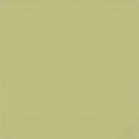 Westcott X-Drop Pro photo backdrop Polyester Monochromatic Green