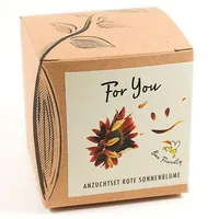 Naturkraftwerke Sonnenblume Flower seeds Annual / Perennial Sunflower