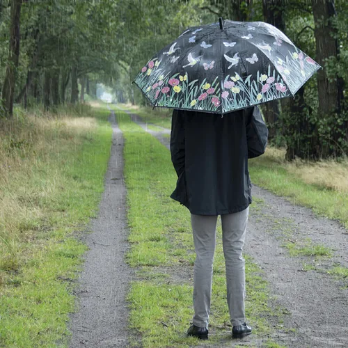Esschert Design TP275 parapluie Noir Acier Polyester Complet