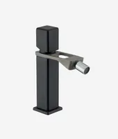 Webert Bidet Black, Stainless steel