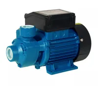 Elpumps Kreiselpumpe PP 60 - Pumpentyp: Kreiselpumpe - Produktart: Wasserpumpe - Betriebsart: Netzbetrieb - System-Kompatibilität: Keine