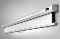 Celexon 1090028 projection screen 1:1