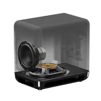 Sony SA-SW5 Premium-Subwoofer, schwarz