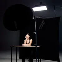 Westcott Softbox Rapid Box Switch 1 x 3 - Form: Rechteck