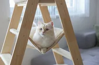 Kerbl Kratzbaum Ladder 97 cm x 39.5 cm x 134 cm - Höhe: 134 cm - Anzahl Liegeplätze: 3 × - Detailfarbe: Beige - Tierart: Katze - Produkttyp: Kletterleiter