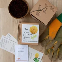 Naturkraftwerke Teddybär Sonnenblume Flower seeds Annual / Perennial Sunflower