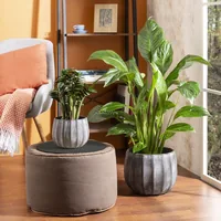 scheurich Blumentopf Runa 2.1 l, Grau - Detailfarbe: Grau - Aufhängevorrichtung: Nein - Detailmaterial: Keramik - Grundmaterial: Keramik