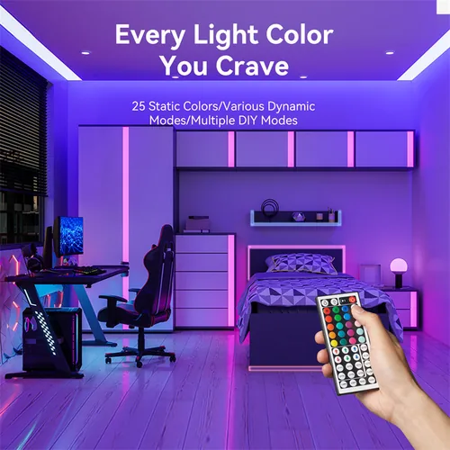 Vention Silicone Neon LED strip with remote control, 12V, 2m