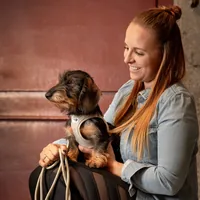curli Geschirr Vest Air-Mesh 3XS, Light-Tan - Hundegrösse: 3XS - Detailfarbe: Beige - Produkttyp: Geschirr - Tierart: Hund