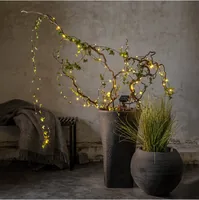 Star Trading Lichterkette Solar Dew Drop Micro, 100 LEDs, 740 cm, Grün - Produkttyp: Lichterkette - Betriebsart: Solarbetrieb - Set-Typ: Starterset - Fernbedienung: Nein - Smart Home: Nicht kompatibel - Lichtfarbe: Warmweiss (WW)
