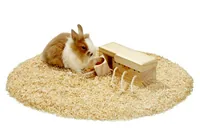 Karlie Nager Brain Train 21.5 x 8.5 x 7.5 cm - Nagetierart: alle Kleinnagetiere - Tierart: Nager