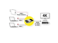 ROLINE KVM Switch, HDMI 4K, USB, 1 User - 2 Mobilgerte