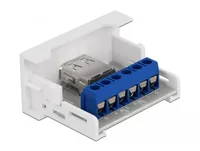 Delock USB 2.0 Adapter Easy 45 Modul Terminalblock - USB-A Buchse - Detailfarbe: Weiss - USB Standard: 2.0 (480 Mbps) - Winkelstecker: Nein - Steckertyp Seite B: USB-A Buchse - Besondere Eigenschaften: Keine - Steckertyp Seite A: Terminalblock