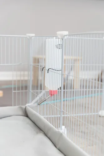TRIXIE indoor run for guinea pig and rabbit - 140 x 35 x 70 cm