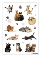 Herma Stickers Motivsticker Fröhliche Katzenkinder 3 Blatt / 63 Sticker - Motiv: Haustiere