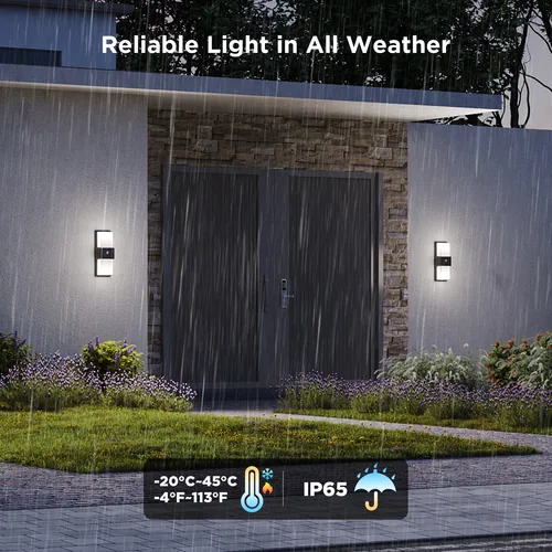 Smart Outdoor Wall Light